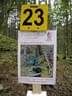 15. Glemmerhofturnier 2019 Bild 157