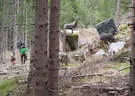7. Turnier der BSU St. Veit 2019 Bild 26