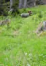 17. Dolomitenturnier 2019 Bild 137