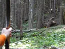 17. Dolomitenturnier 2019 Bild 145