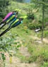 TM IFAA 3D Lakota 2019 Bild 21