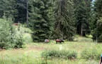 TM IFAA 3D Lakota 2019 Bild 26