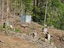 Salzburger LM 2019 Bild 58
