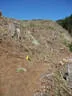 Salzburger LM 2019 Bild 60