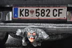 Vereinsmeisterschaft 2019 Bild 22