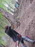 5erl Bowfire Schörhof 2019 Bild 107