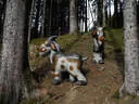 5erl Bowfire Schörhof 2019 Bild 48