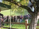 5erl Bowfire Schörhof 2019 Bild 5