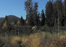 Parcoursumbau 2019/20 Bild 34