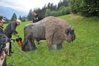 10 Jahre BSV Oberkrammern 2020 Bild 18