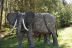 BSU St. Veit 2020 Bild 66