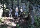 Weberbauerchallenge 2020 Bild 59