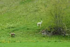 BSV Iseltal 2022 Bild 38