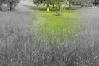L 100 /2022 Bild 24