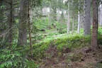 L 100 /2022 Bild 58