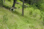 Bruggeralmchallenge 2022 Bild 89