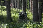 10. Turnier der BSU St. Veit 2022 Bild 24