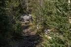 Impressionen Sommer 2022 Bild 7