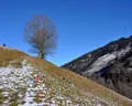 Primbogenturnier Rauris 2023 Bild 21