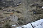 2. Bruggeralmchallenge 2023 Bild 81