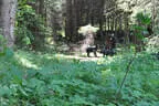 Jubiläumsturnier BSC Rietz 2023 Bild 101