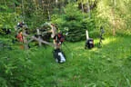 Jubiläumsturnier BSC Rietz 2023 Bild 8