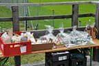 11. Turnier BSU St. Veit 2023 Bild 81