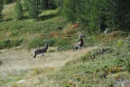 Staller Sattel Obersee-Challenge 2023 Bild 135
