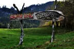 Turnier am Schörhof 2024