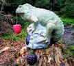 Parcoursumbau Sommer 2024 Bild 24