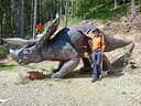 VA 2024 Stoneface Bild 132