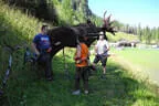 12. Turnier der BSU St. Veit 2024 Bild 46