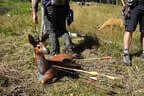 12. Turnier der BSU St. Veit 2024 Bild 47