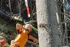 12. Turnier der BSU St. Veit 2024 Bild 80