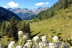 Bruggeralmchallenge 2025 Bild 153