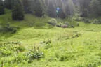 Bruggeralmchallenge 2025 Bild 54