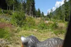 13. Turnier der BSU St. Veit 2025 Bild 42