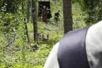 13. Turnier der BSU St. Veit 2025 Bild 56