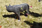 Stallersattelchallenge 2025 Teil 2 Bild 82