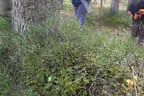 1. Blasrohrchallenge 2025 Bild 12