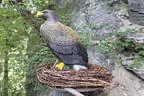 Vereinsausflug Ritten Bild 120