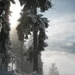 3.-5er-Turnier-Lakota