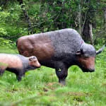 Parcours-wurde-umgebaut Parcours-wurde-umgebaut