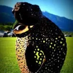 26.-Scharnitzer-Speckschiessen-2024 26.-Scharnitzer-Speckschiessen-2024