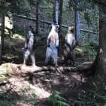 Weberbauerchallenge Weberbauerchallenge