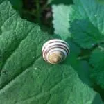 3.-Penzing-Watschenbachturnier-2023